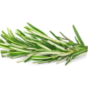 Adivasi Herbal Hair Oil